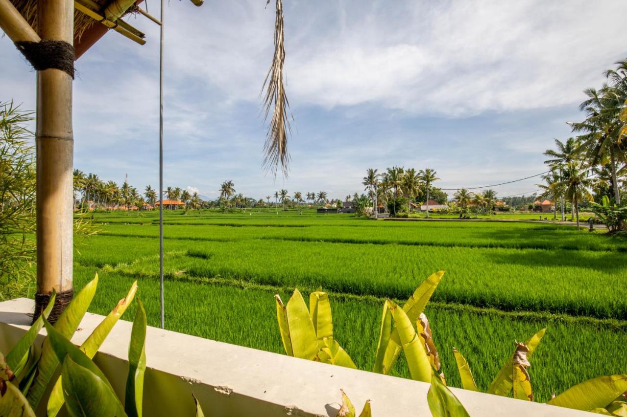 Sisin Ubud View מראה חיצוני תמונה